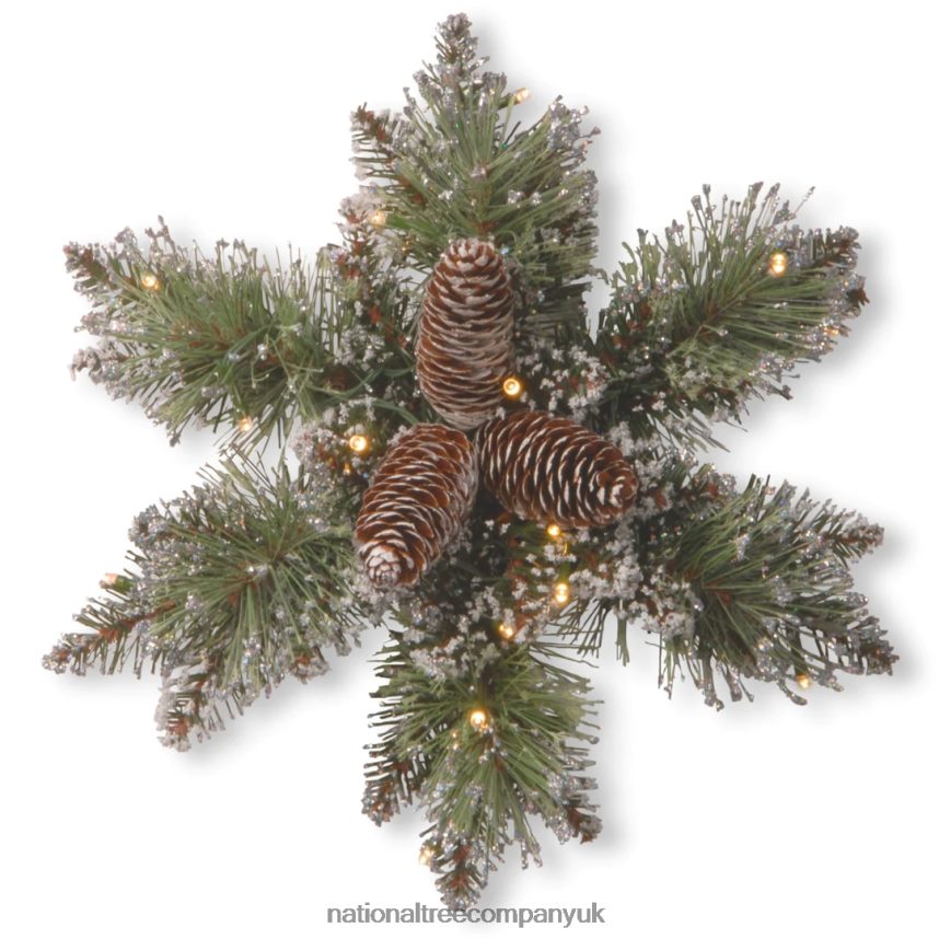 Greenery | National Tree Company Pre-Lit Artificial Christmas Star Wreath Green Glittery Bristle Pine White Lights Decorated with Pine Cones Frosted Branches Christmas Collection 14 Inches F2L4